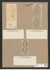 Navicula diplosticta Grun. (de-Toni-Nr.: Genus 1, Species 279) Zeichnungen Sammlung Grunow Nr. 633 (NHMW-BOT-W0366999)